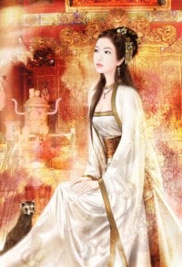 重生之商女为妃